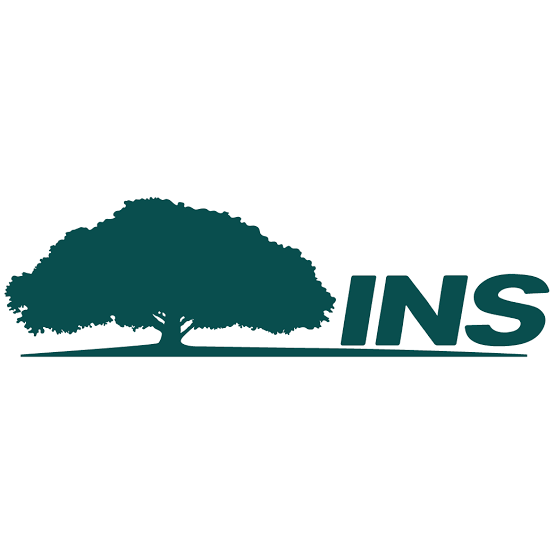 Logo oficial de INS